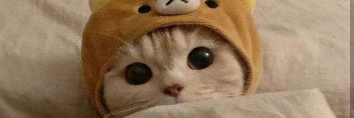 Emaze_v's profile banner image