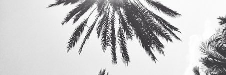 madisonncullen's profile banner image