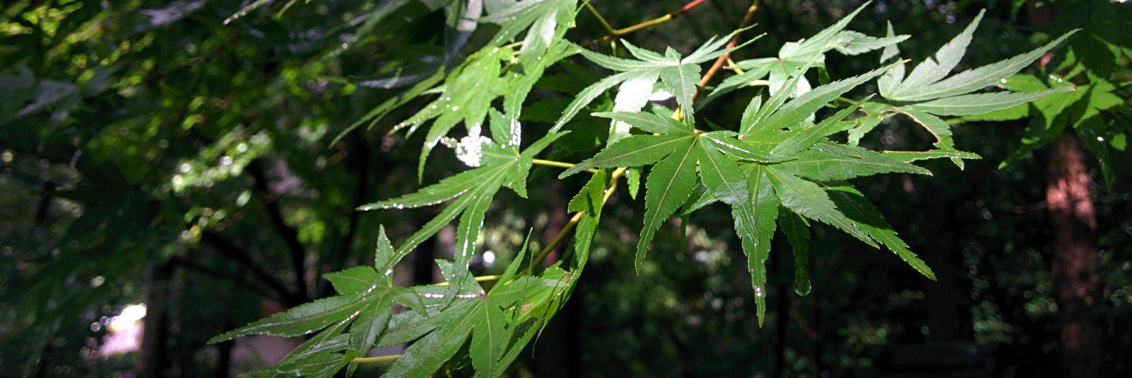 mizui_com's profile banner image