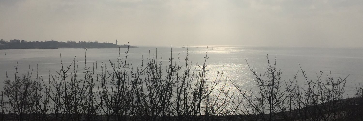 Nilüfer Timisi banner