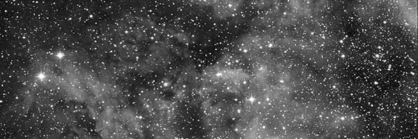 Isabel Angelo banner