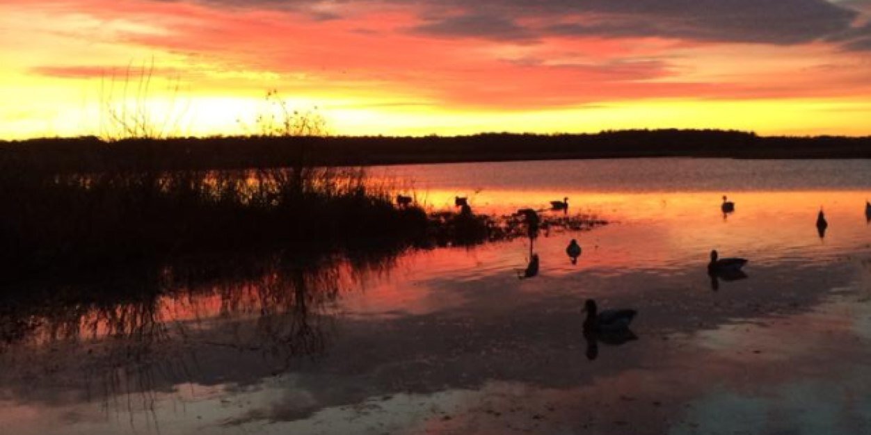 BC_Wetlands's profile banner image