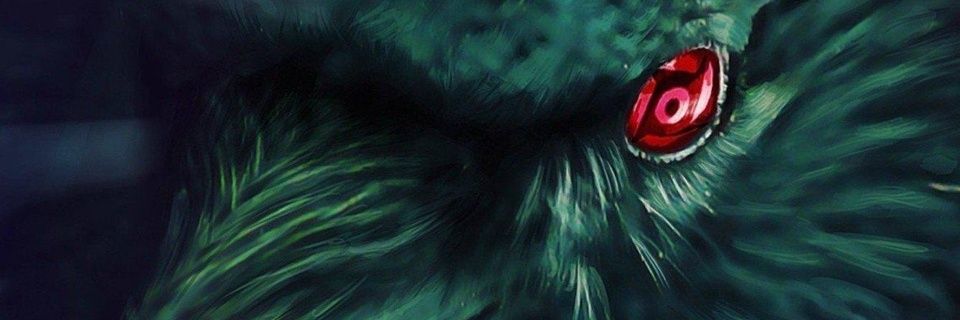 devaris3's profile banner image