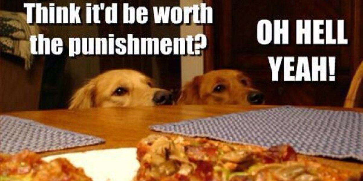 Puppies And Pizza banner