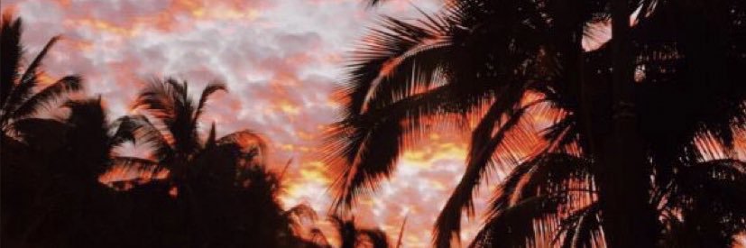 DRAM217's profile banner image