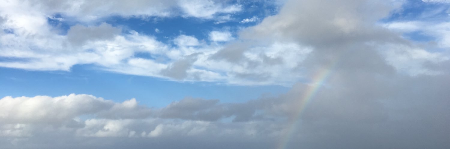 LisaSLodico's profile banner image