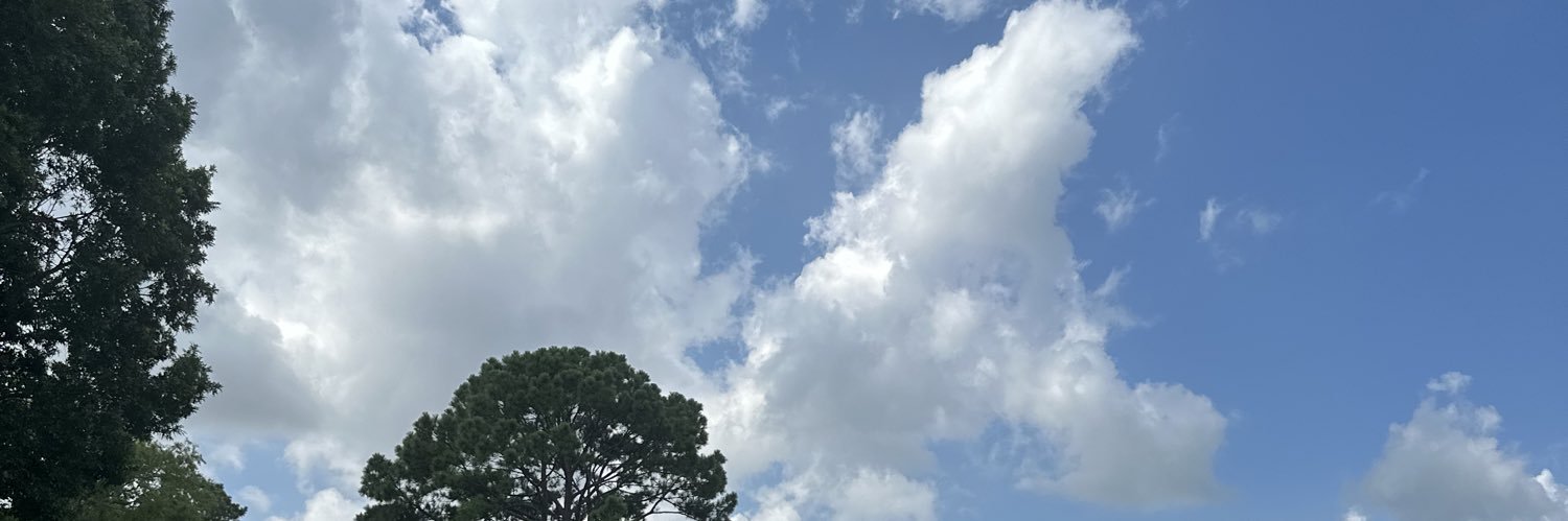justjadamae's profile banner image