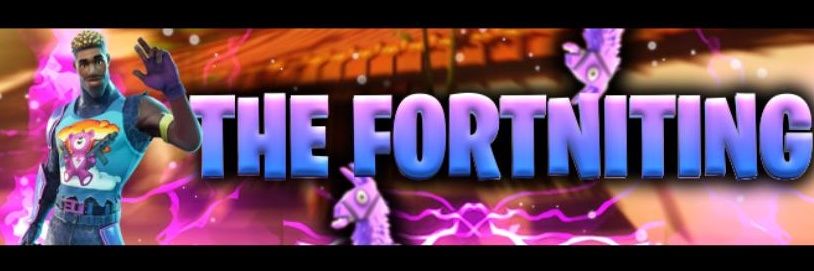 TheFortniting's profile banner image