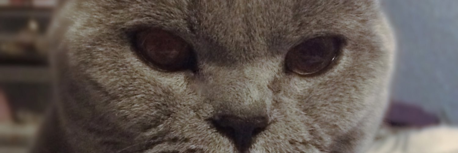 Nicola Thornton banner
