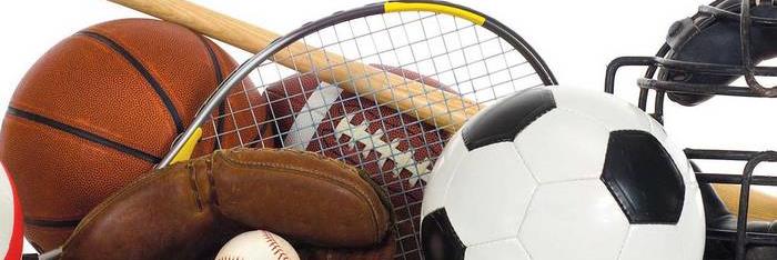 PhysEd Turner Fenton banner