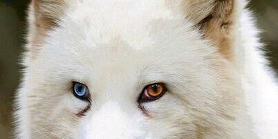 Pady_RRI's profile banner image