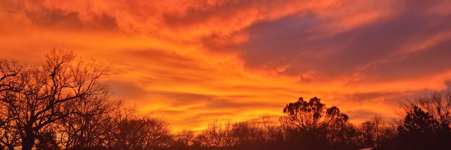 🥓Texas Morning Coffee ☕️'s banner