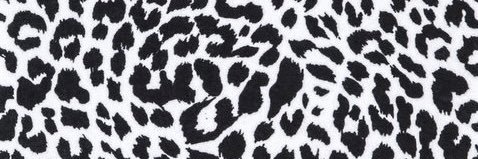 maybe_im_crazy's profile banner image
