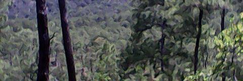 MARIANOGARCIAV2's profile banner image