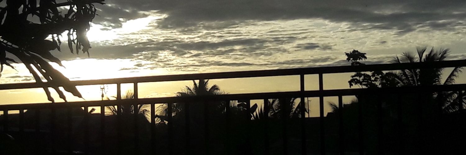 jonnimuliardi's profile banner image