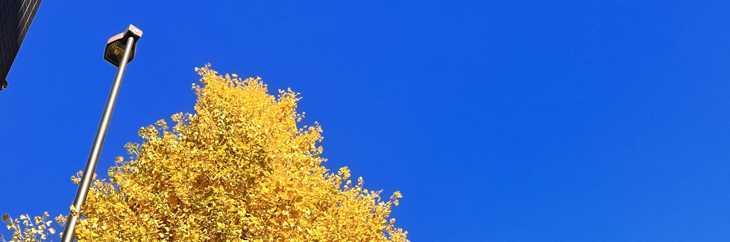 Ryuuu0208's profile banner image
