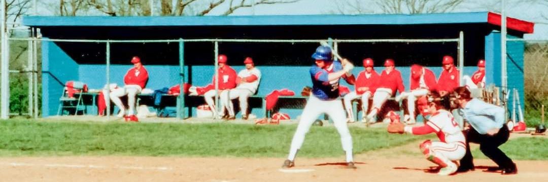 TN Baseball Report banner