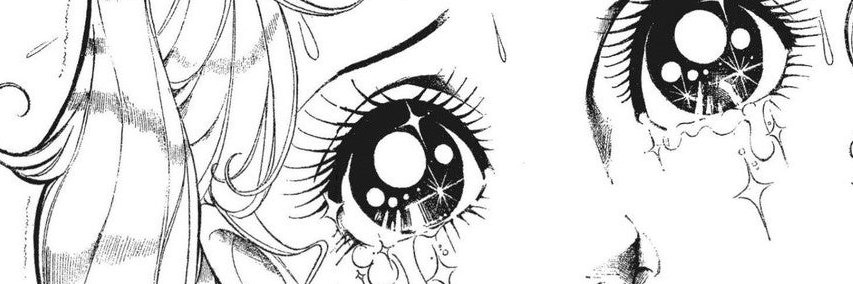 mscusse's profile banner image
