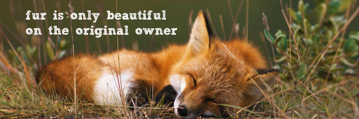 Jez (find me in the better place!) banner