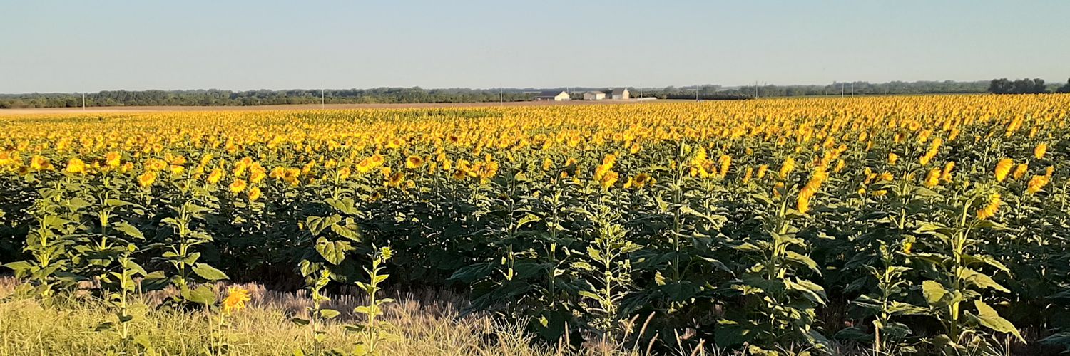 A.C. Williams banner