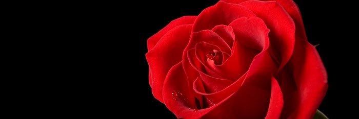 missduffy22's profile banner image
