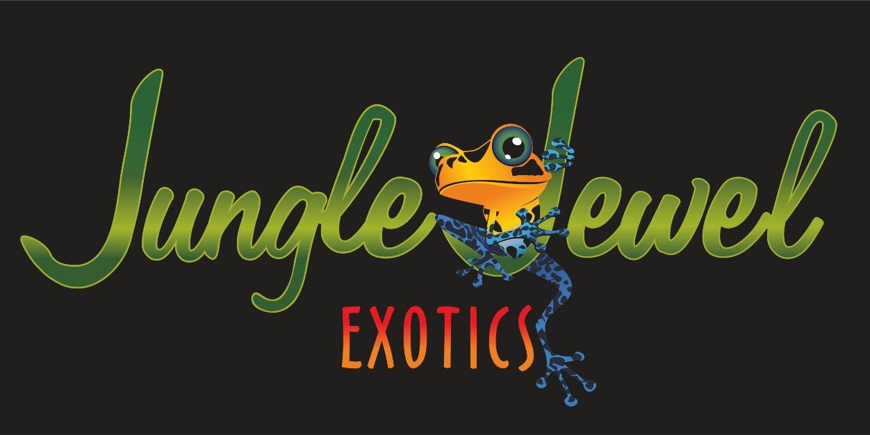 CanadianFrogger's profile banner image