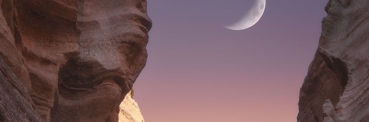 ferbrizz's profile banner image