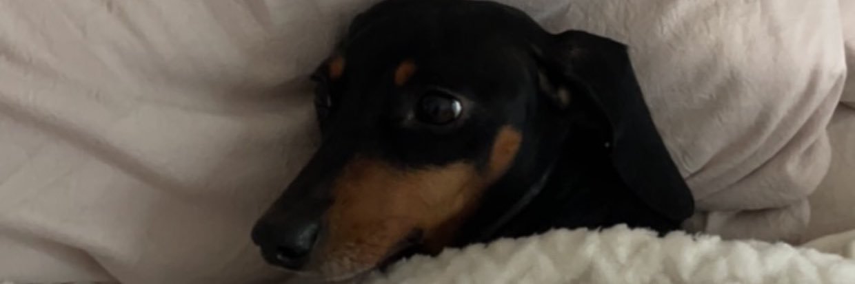 alliewakula_'s profile banner image