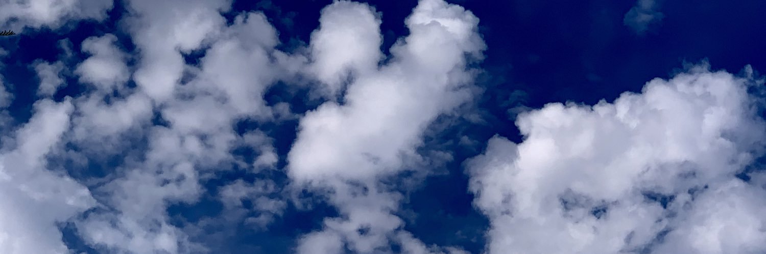 tytil_tweets's profile banner image
