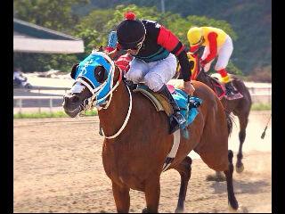 newman amador banner