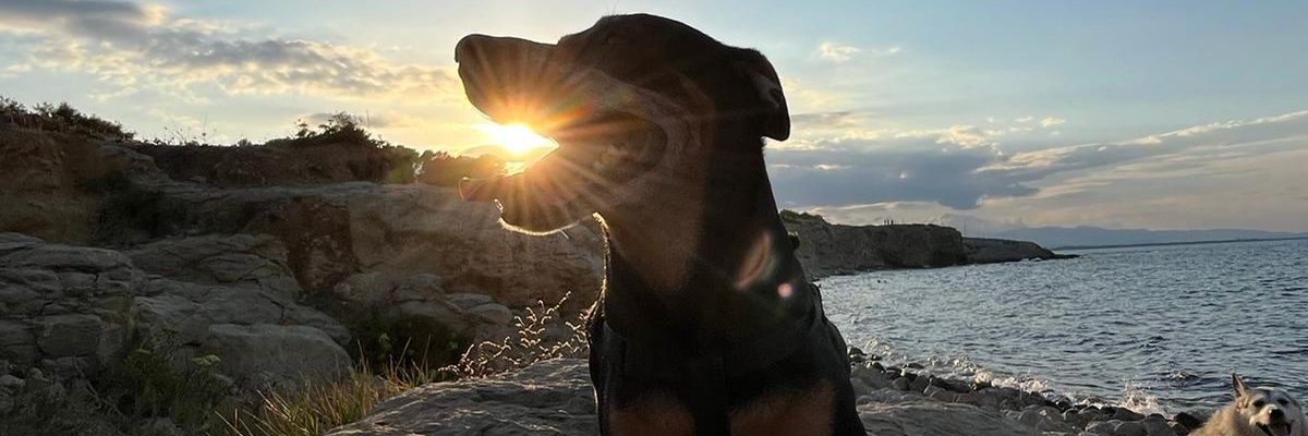 mireeei001's profile banner image