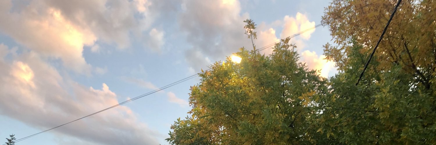 FuentesDelfii's profile banner image