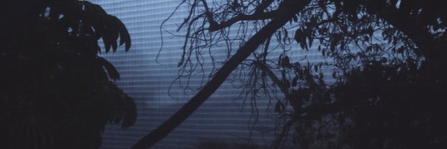 MendedPirate's profile banner image