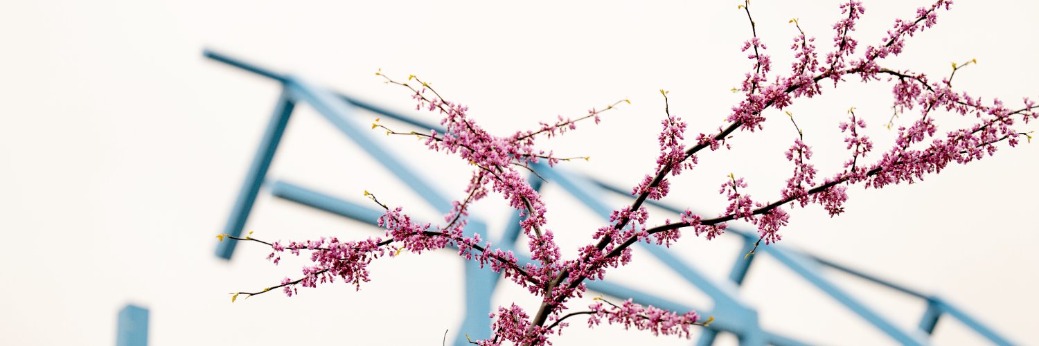 GVSUalum's profile banner image