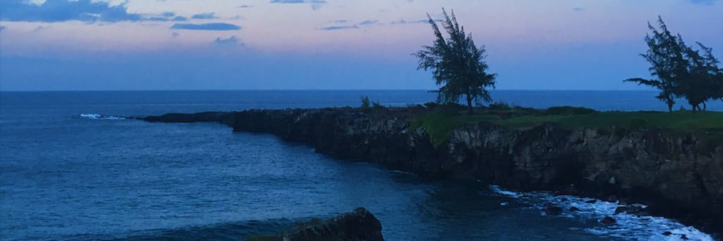 Paityn_dev's profile banner image