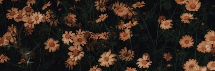 nada_306's profile banner image