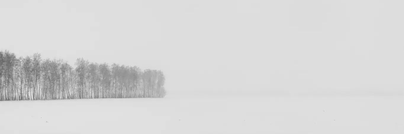 Mikhail Bo_e_u banner