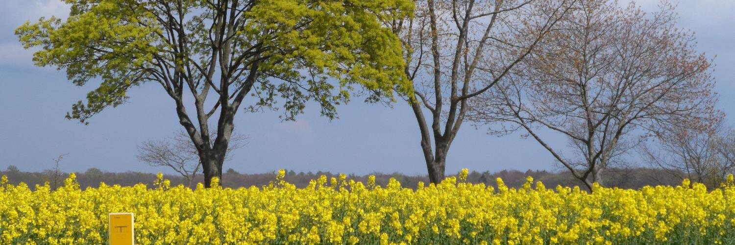 frau_fly's profile banner image
