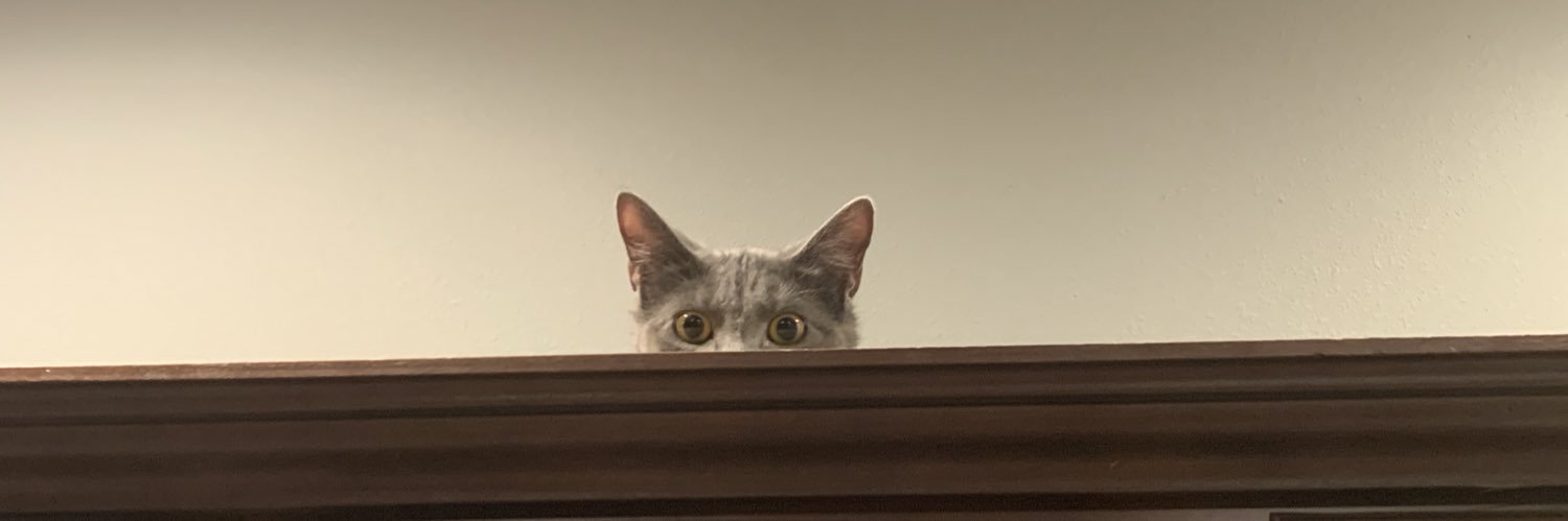 Annesssa's profile banner image