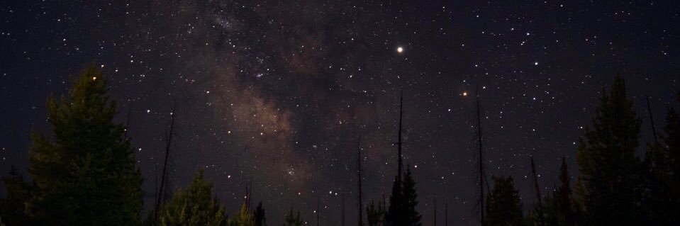 Alex Rosul banner