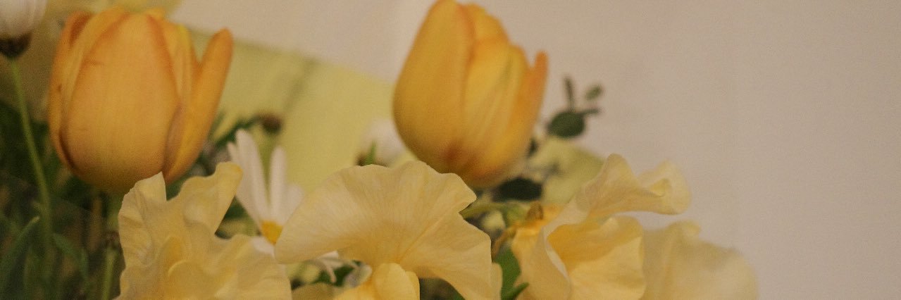 y_xzz's profile banner image