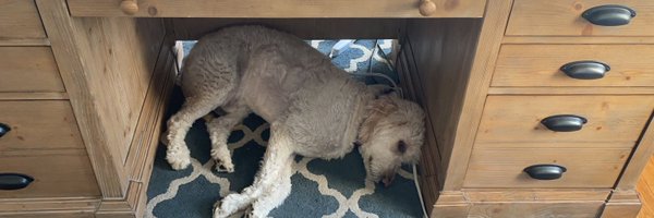 AdviserCounsel Profile Banner