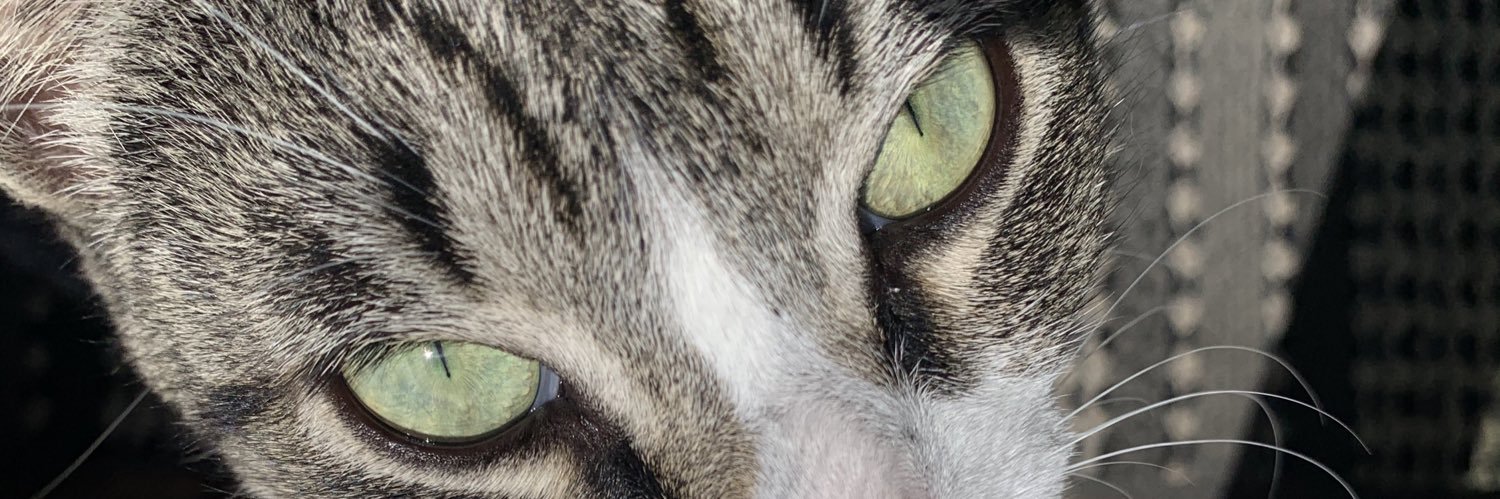 ooo_Isabellaa's profile banner image