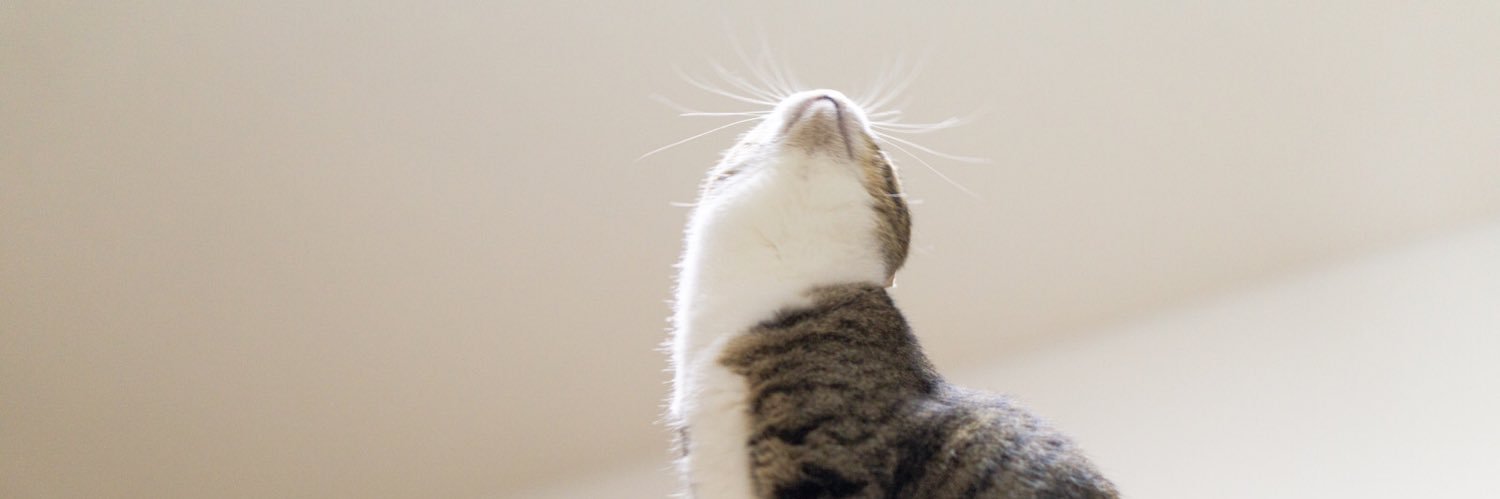hashshake's profile banner image