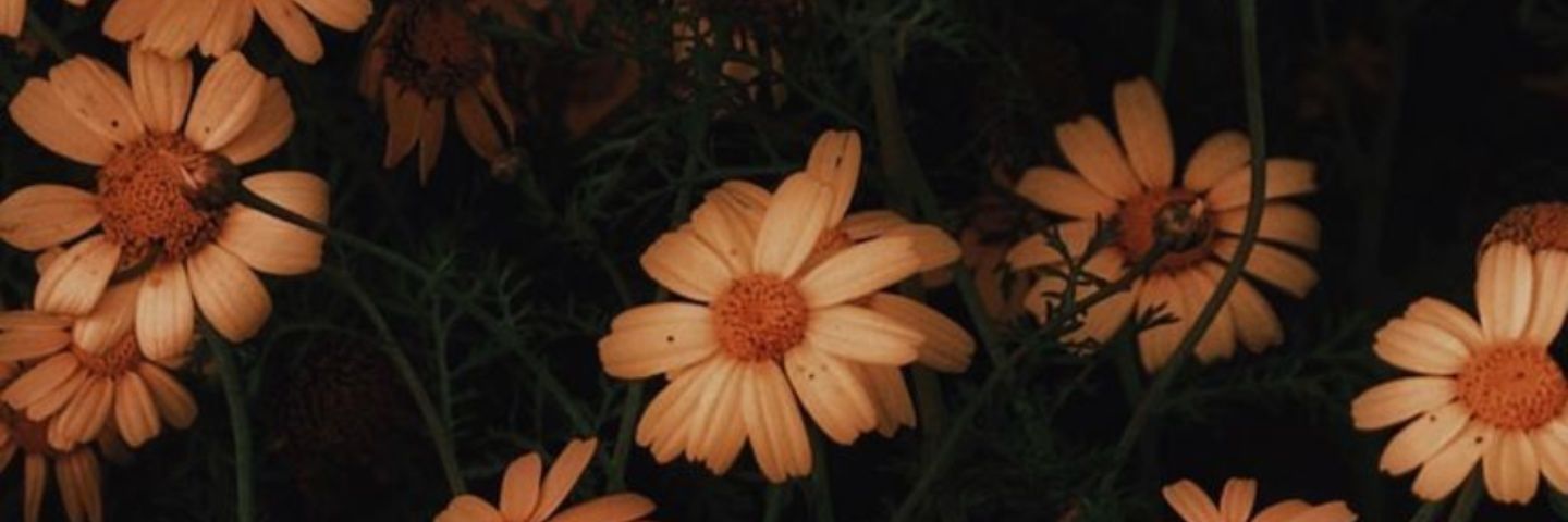 Pequitass97's profile banner image