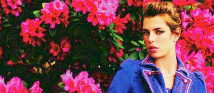 SylvieSebile's profile banner image