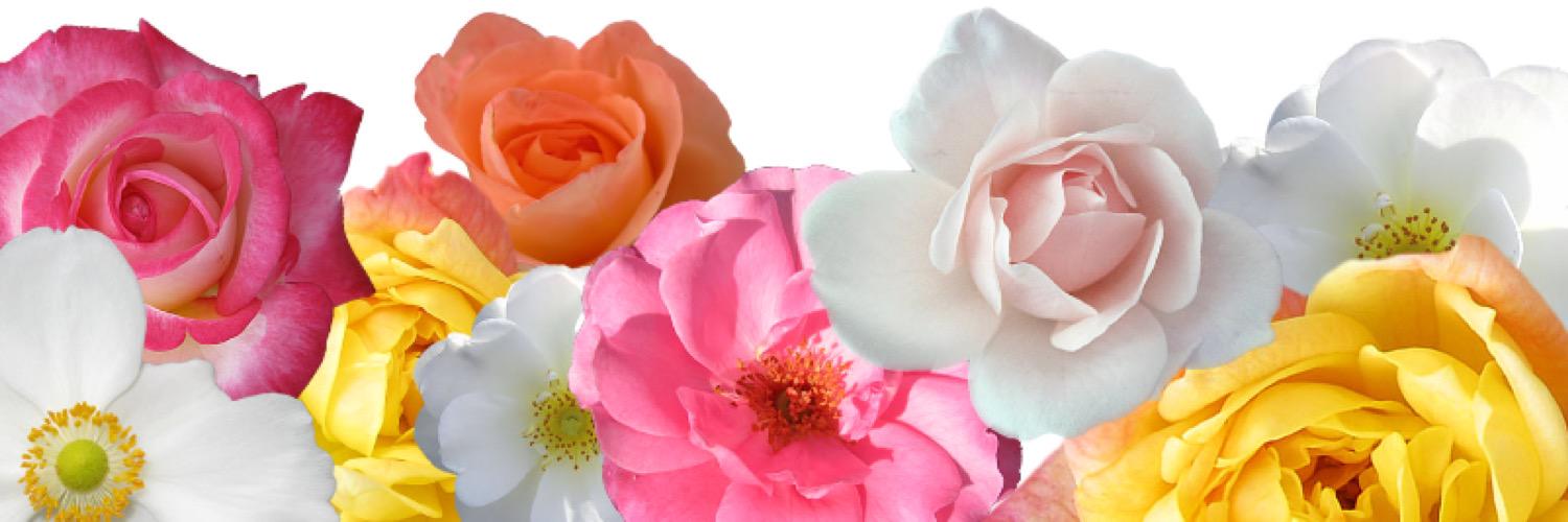 powerofjk's profile banner image