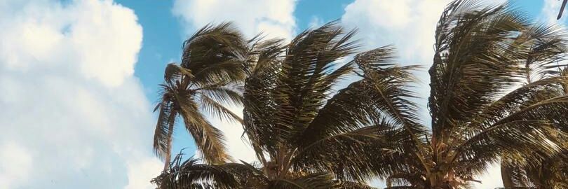Giulliana Russo banner