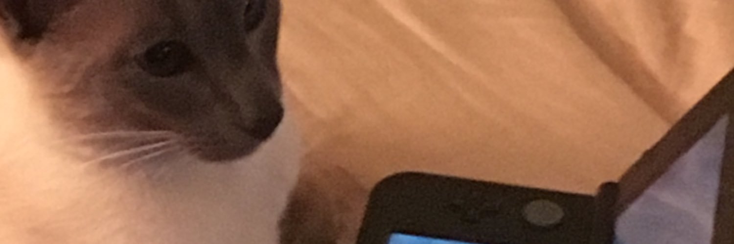LanBoat's profile banner image