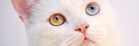 幸@FP1級勉強中 banner